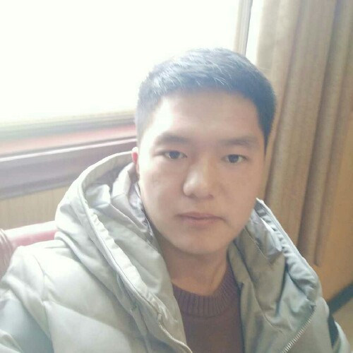北方的狼|的照片