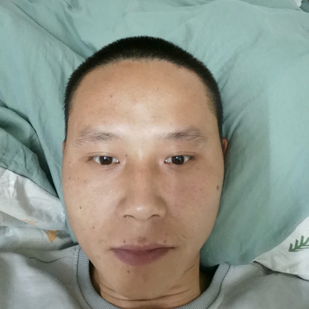 笨笨有电脑的照片