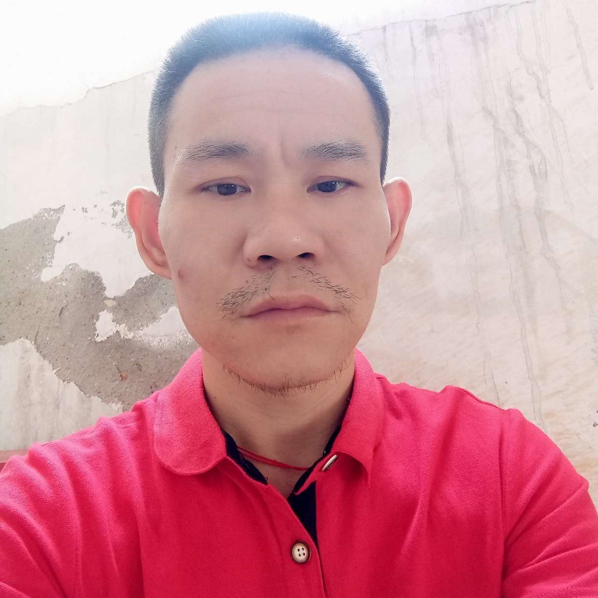 爱吃鱼的猫。的照片