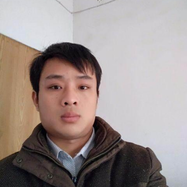 辛勤豆芽的照片