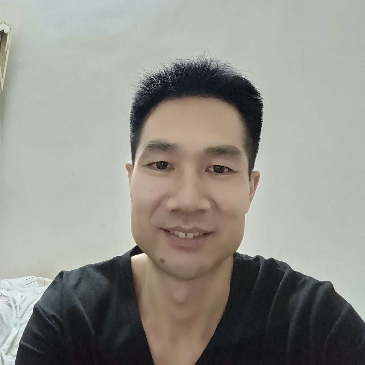 饱满吃醋小蚂蚁的照片