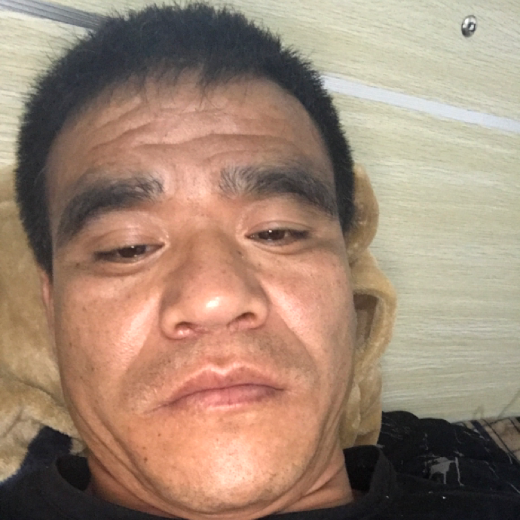 沉静停止过客的照片
