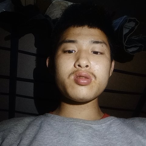 大雁漫步高挑的照片