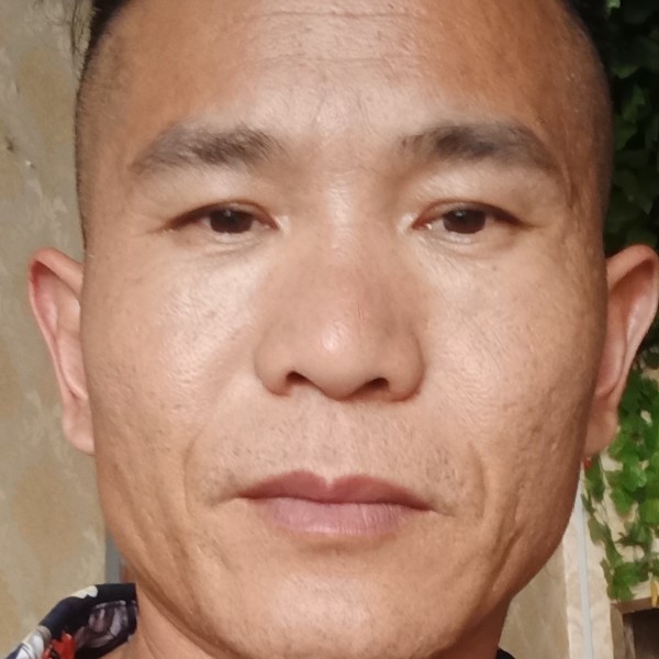 踏实爱恋南鸢的照片