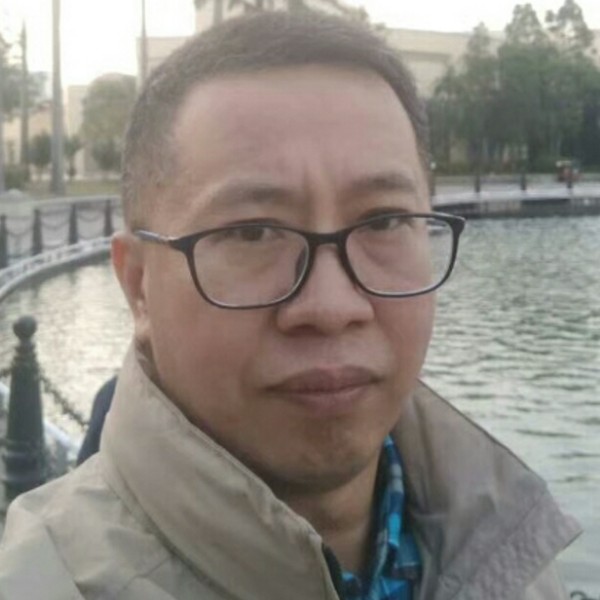 枕头羞涩的照片