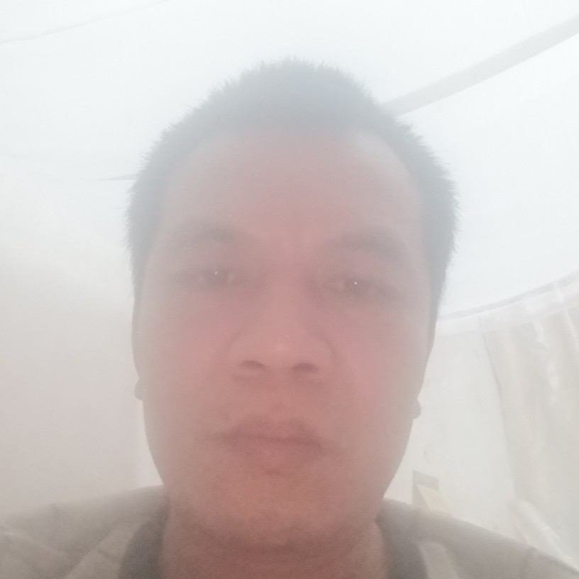 小小一粒尘埃的照片