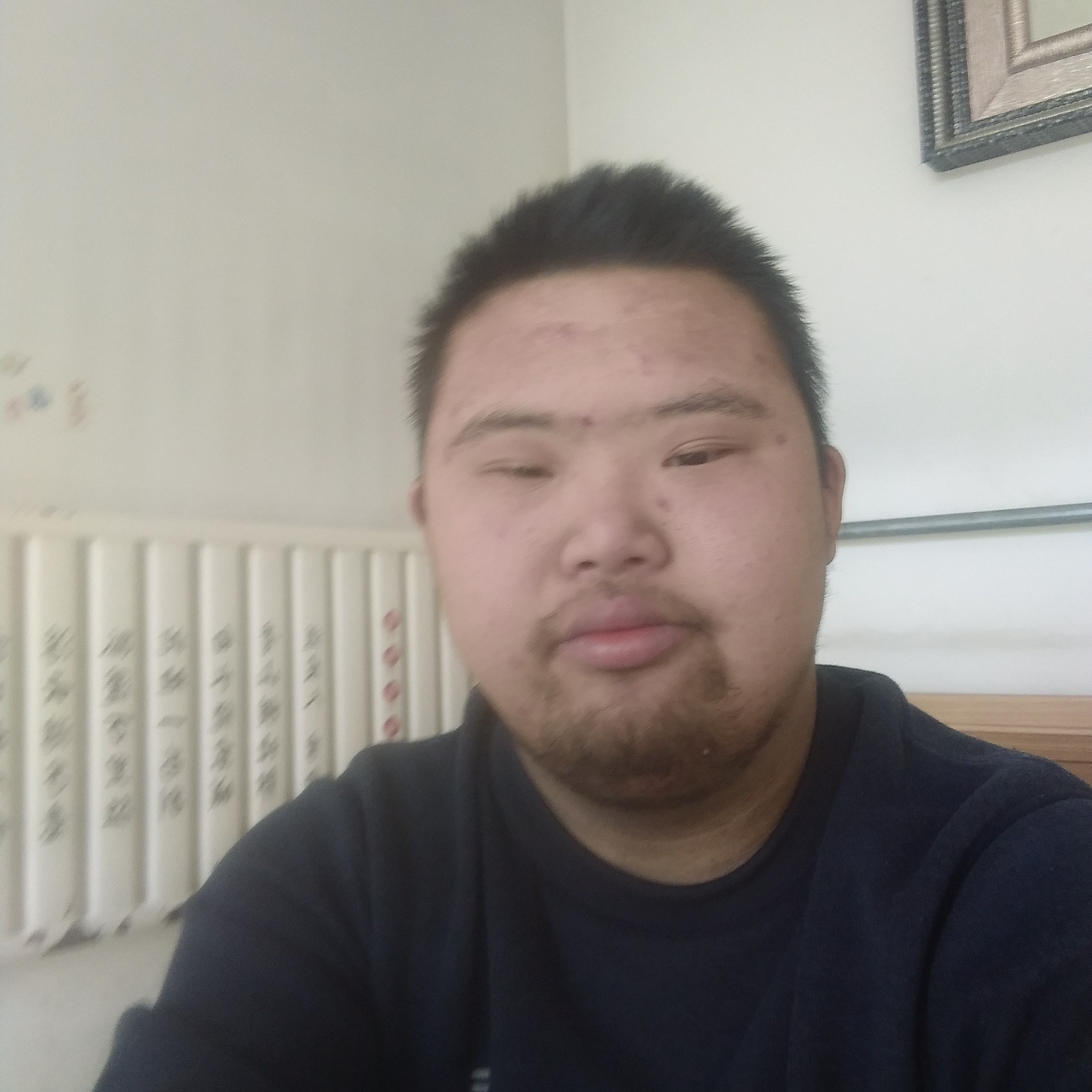 欢呼邂逅含羞草的照片