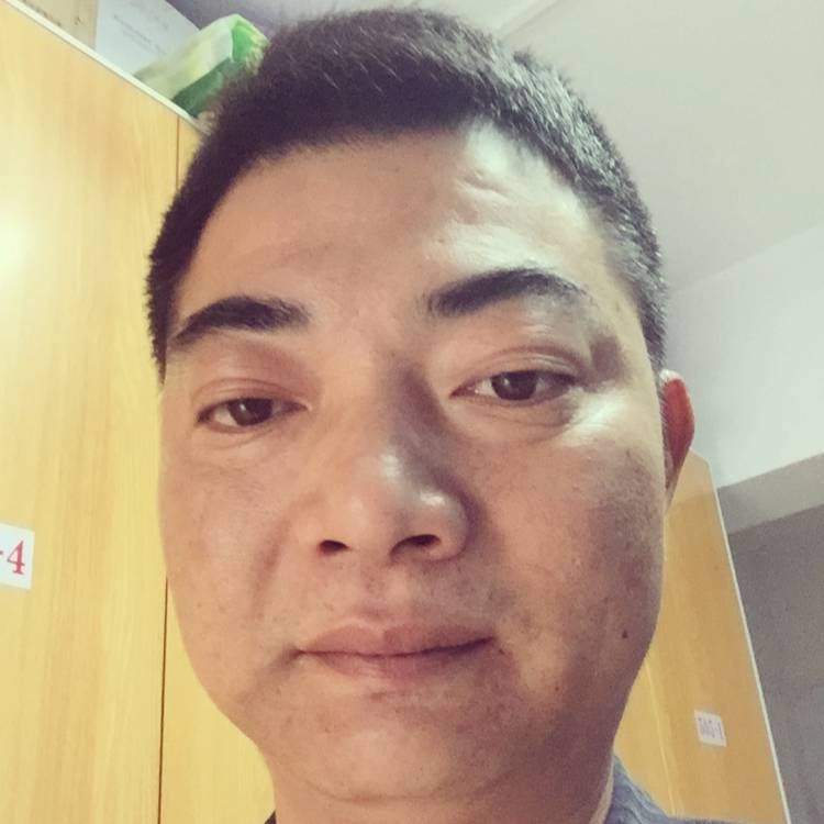 画板无随风飘泊的照片