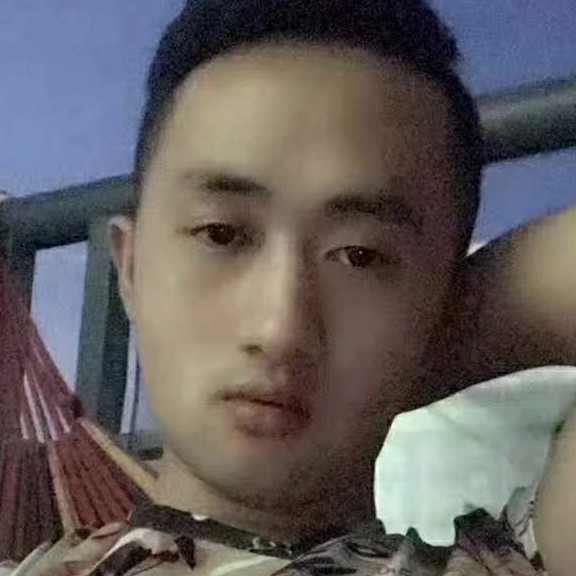 沙鸥，的照片
