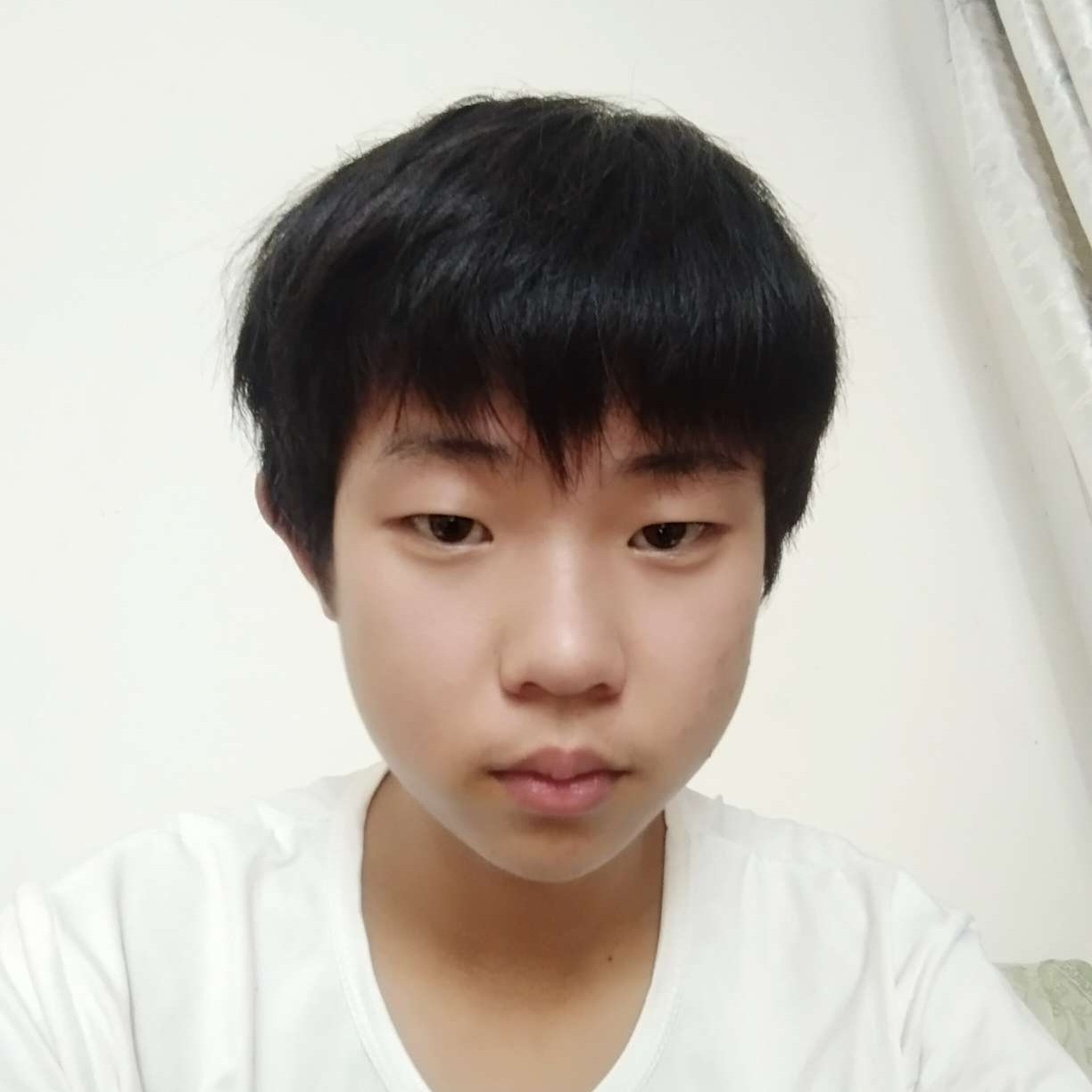 羽落欣辰的照片