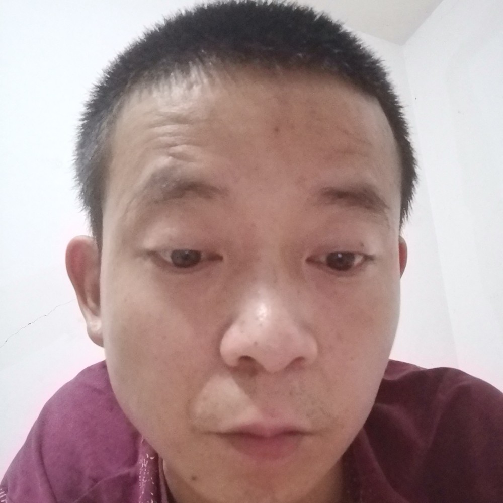 成就改变小刺猬的照片