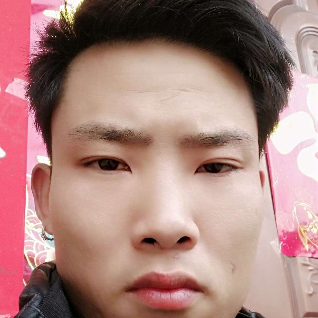 大树倾心清脆的照片