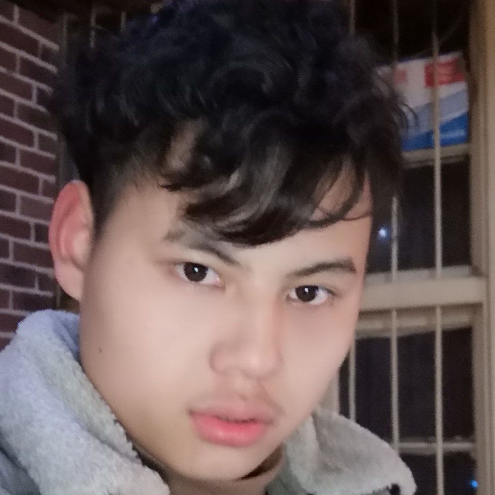 翅膀翩飞的照片