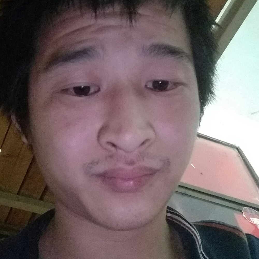寒风还文艺的照片