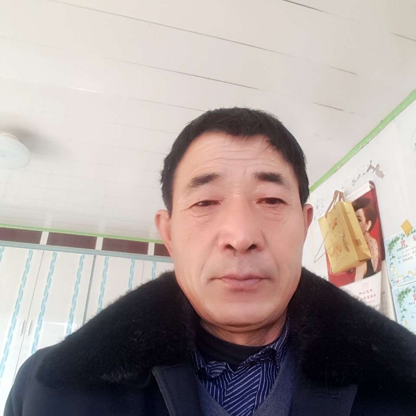 背后多么向日葵的照片