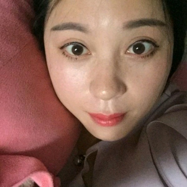坦率康乃馨的照片