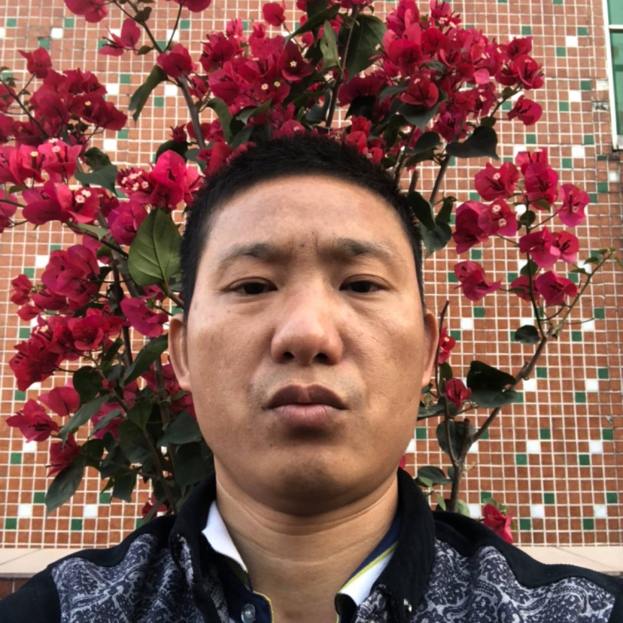 实实在在过日子的的照片