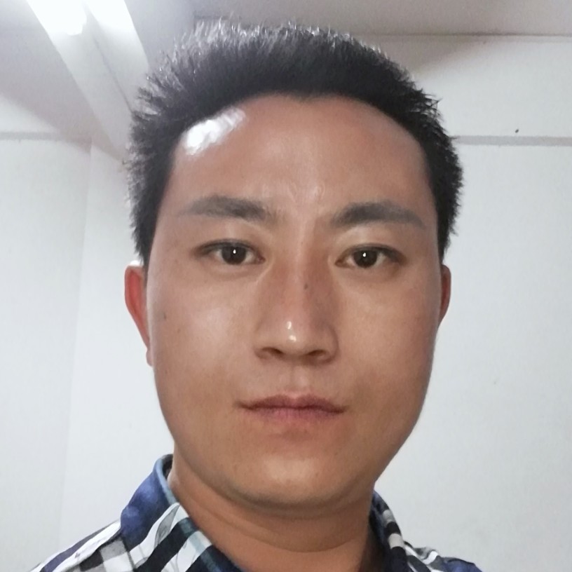 翩飞等待含羞草的照片