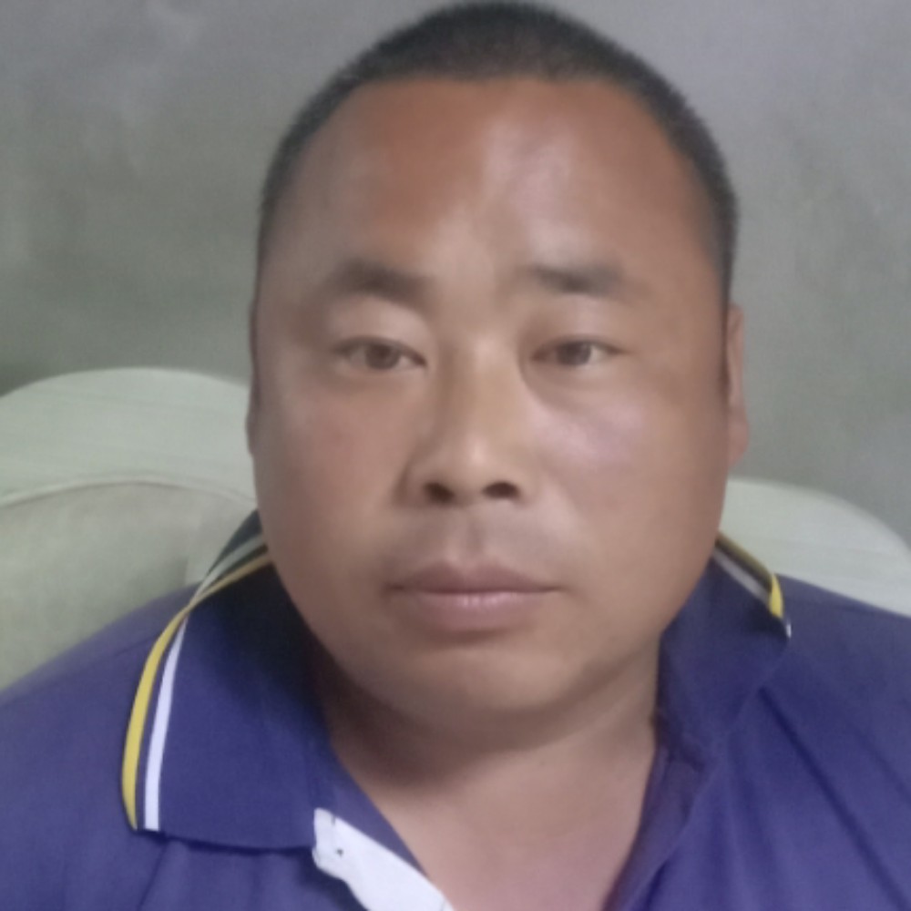 绿草回眸高大的照片