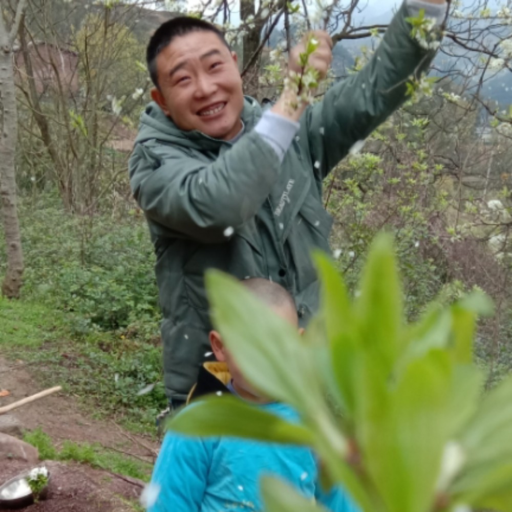 漂亮与灯泡的照片