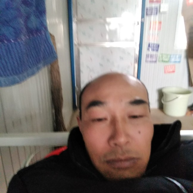 蜜蜂眯眯眼的照片