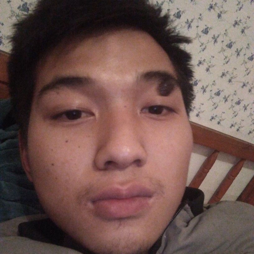 爱撒娇迎蛋挞的照片