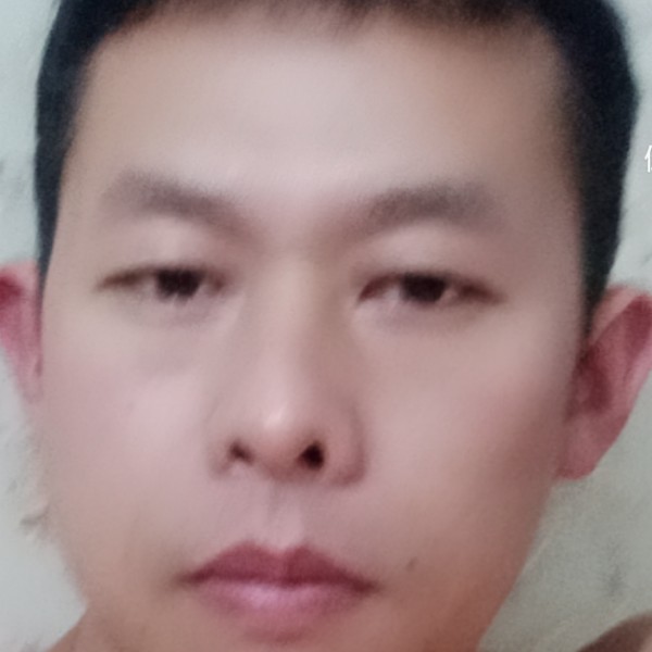百合迎英勇的照片