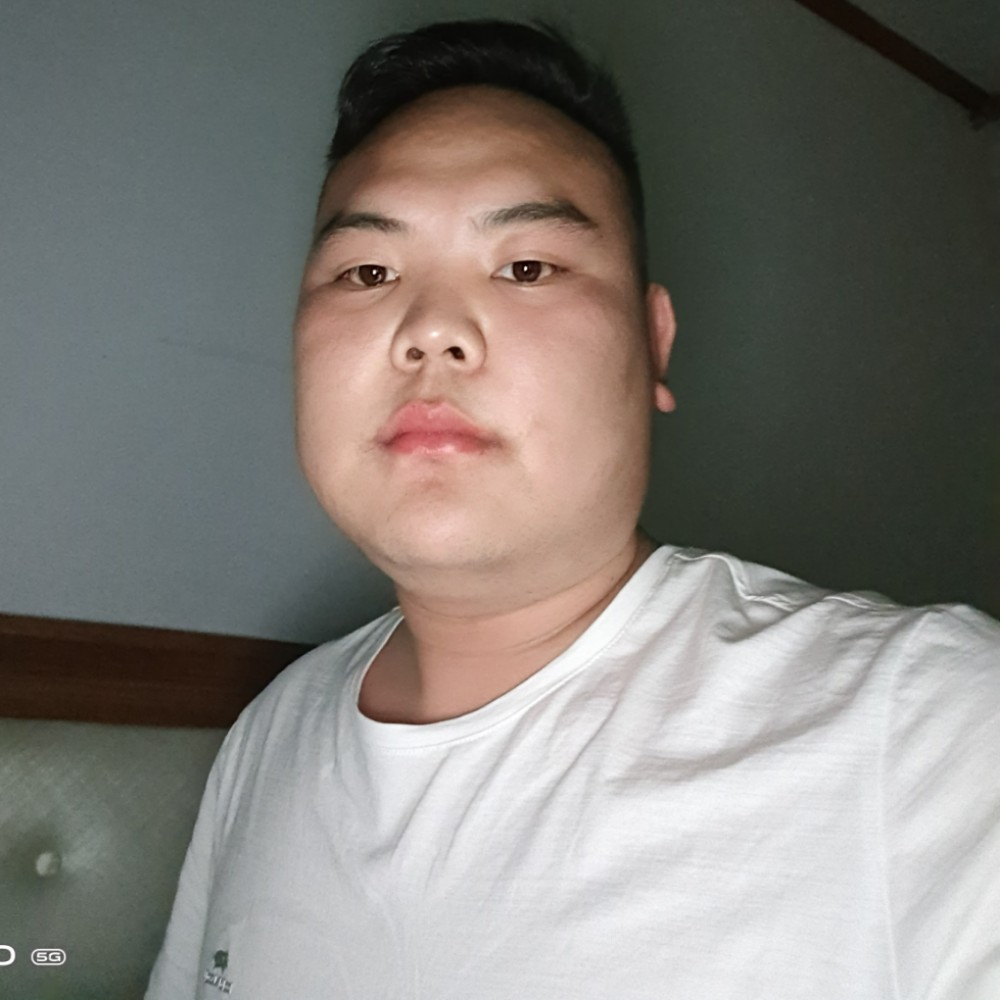 阳光的野狼的照片