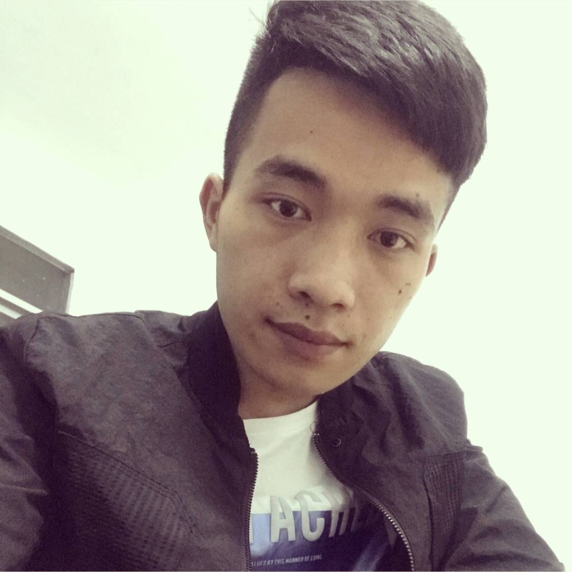 鱼迎追寻的照片