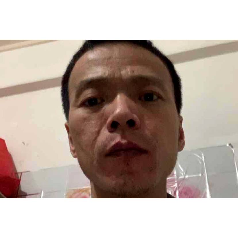 闪闪改变剪影的照片
