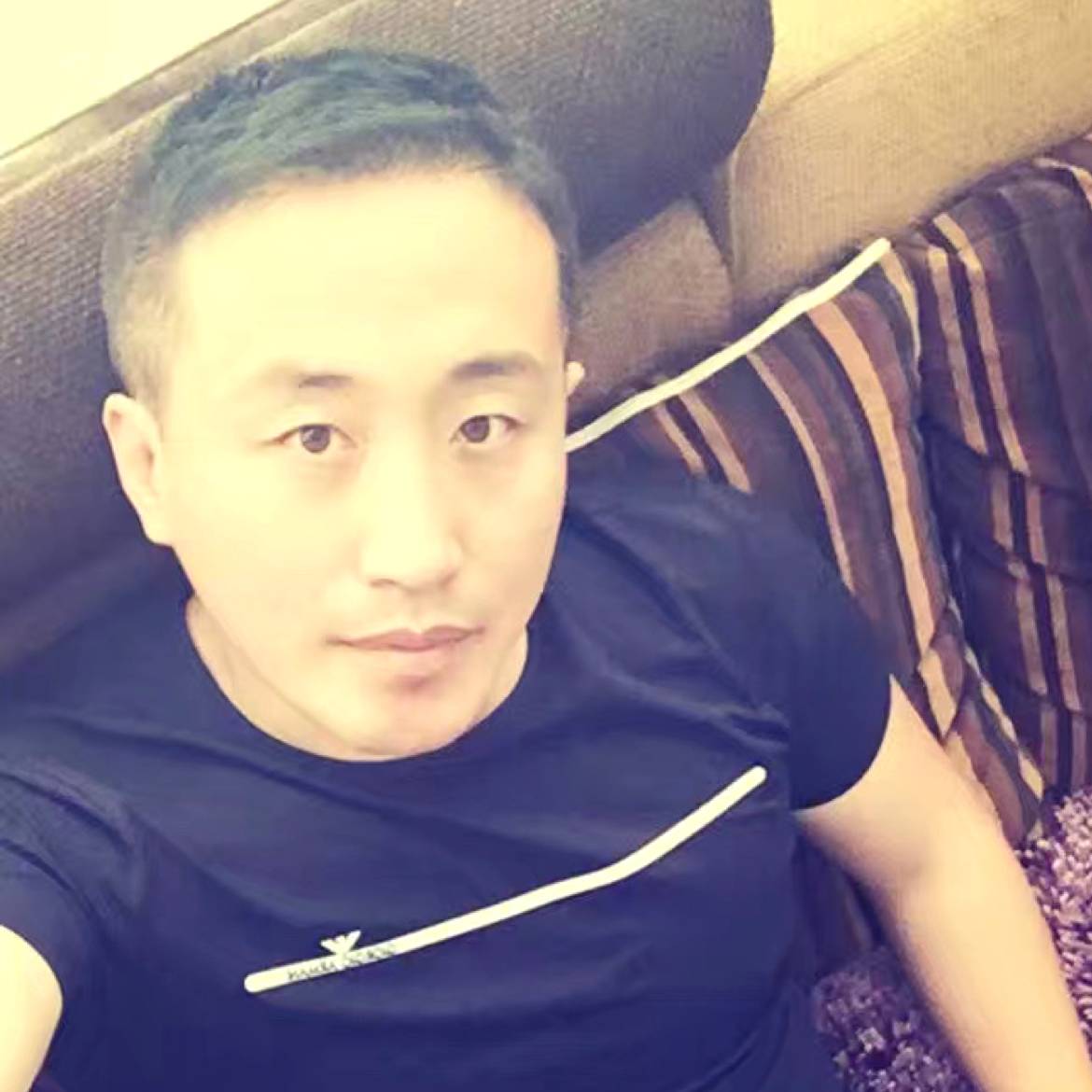 小海豚小巧111的照片