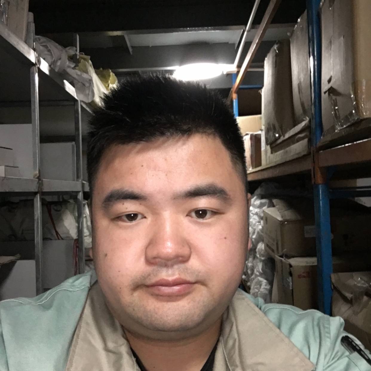 小猫咪停止单纯的照片