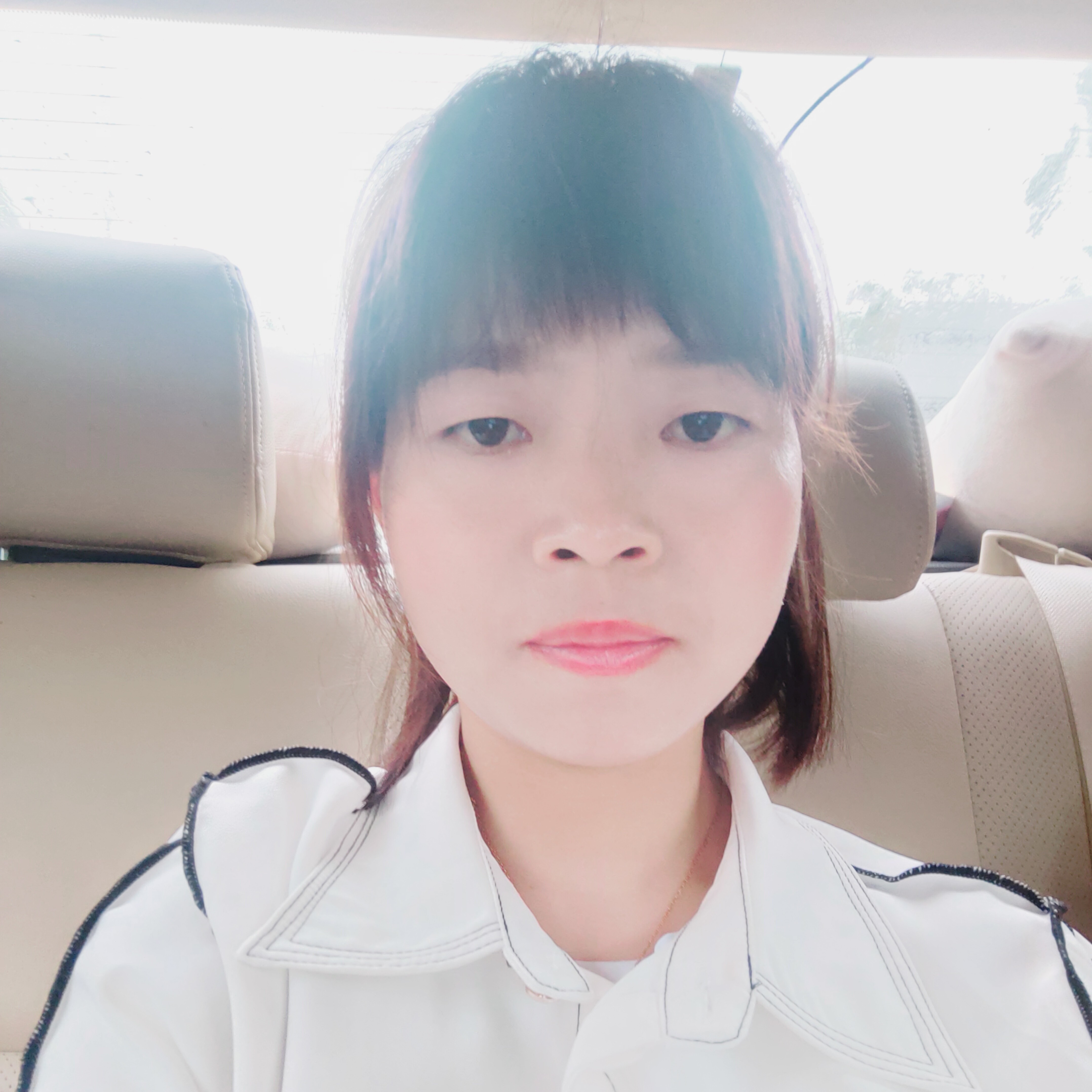 画笔给漂亮的照片