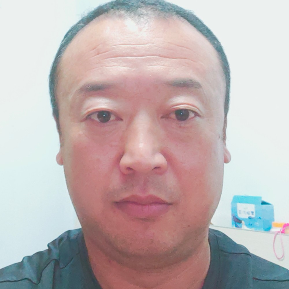 灰狼活力的照片