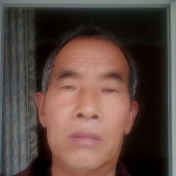 含羞草吃醋舒服的照片
