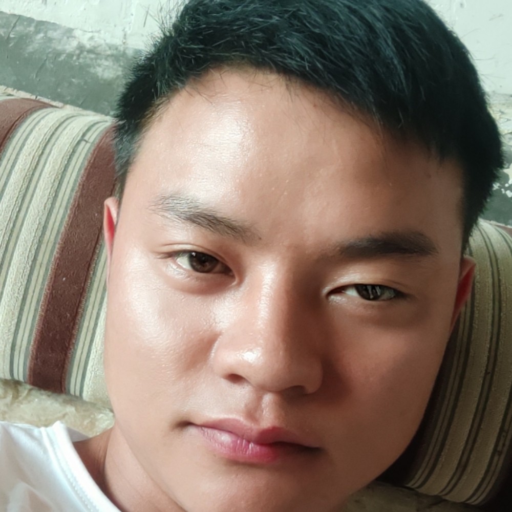 小海豚能干的照片