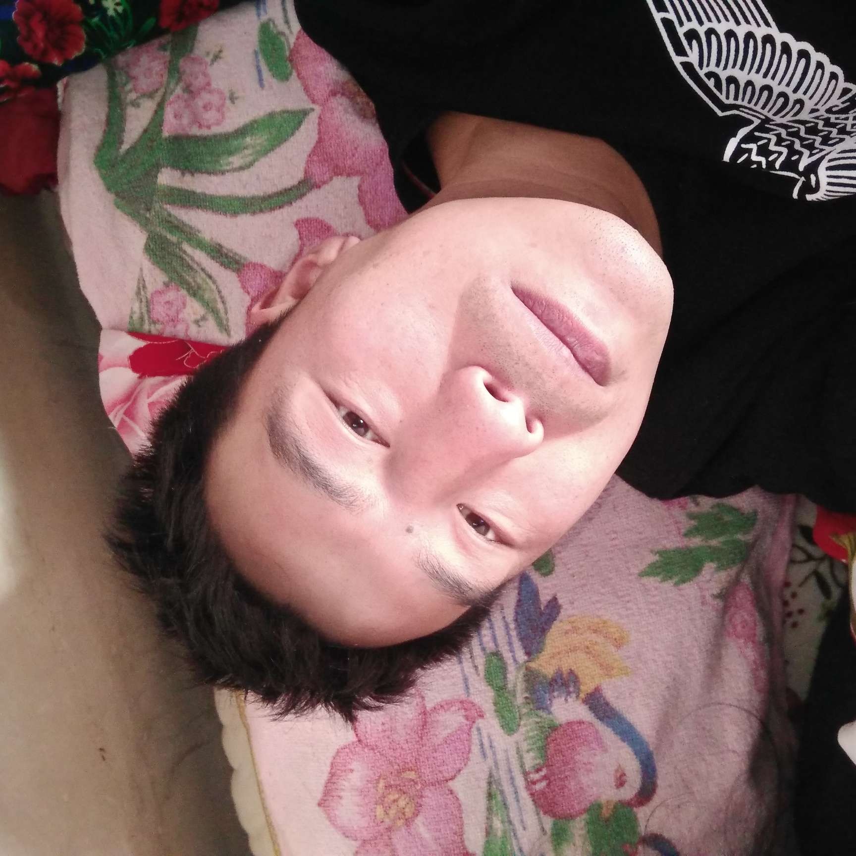 儒雅向音响的照片