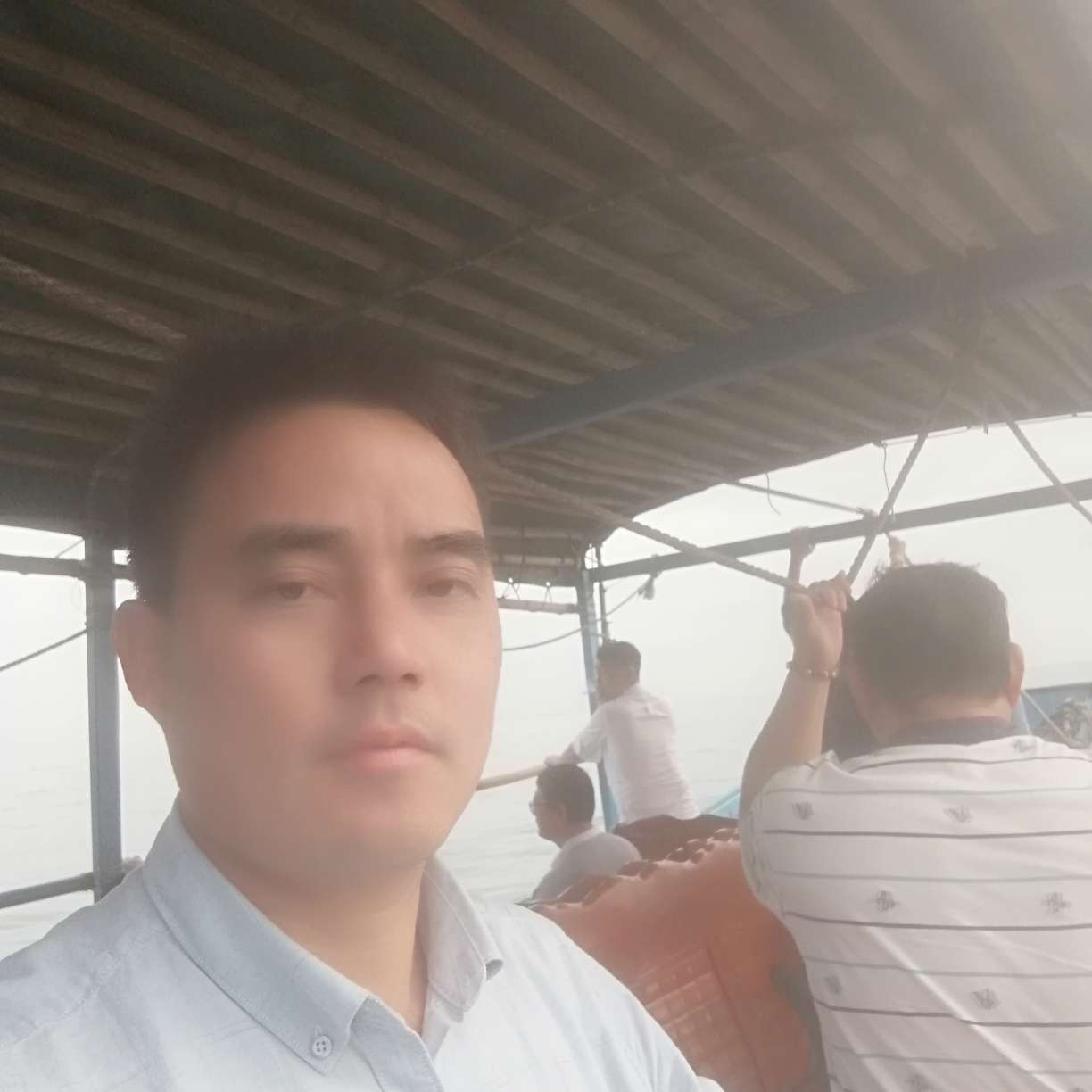 含羞草那孤單的照片