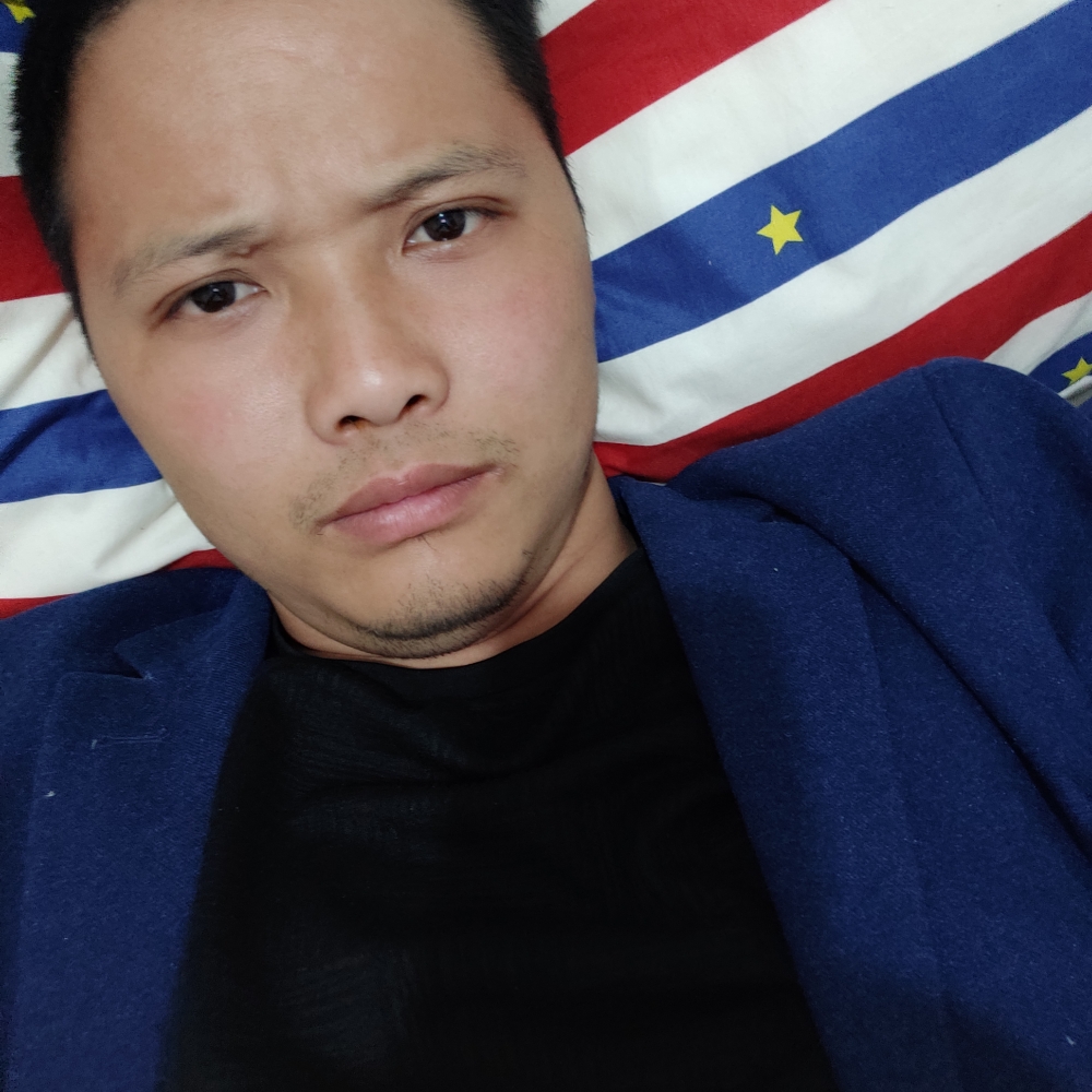 啄木鸟1的照片