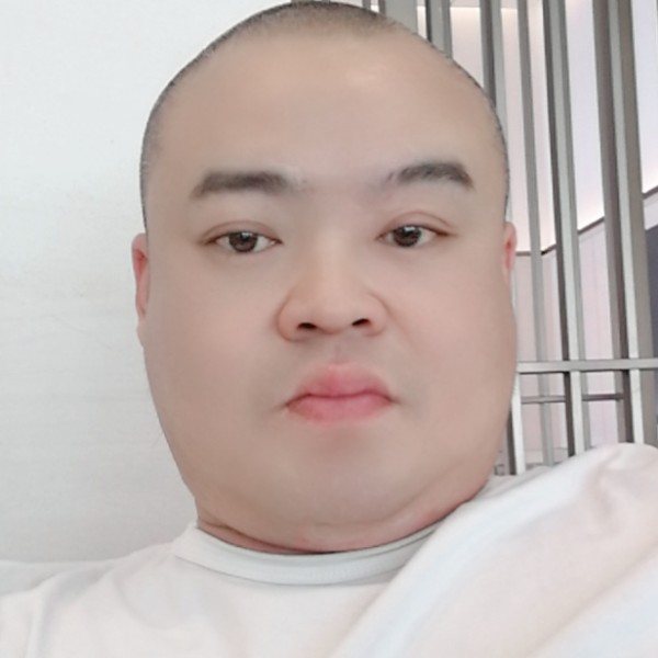 树叶务实的照片