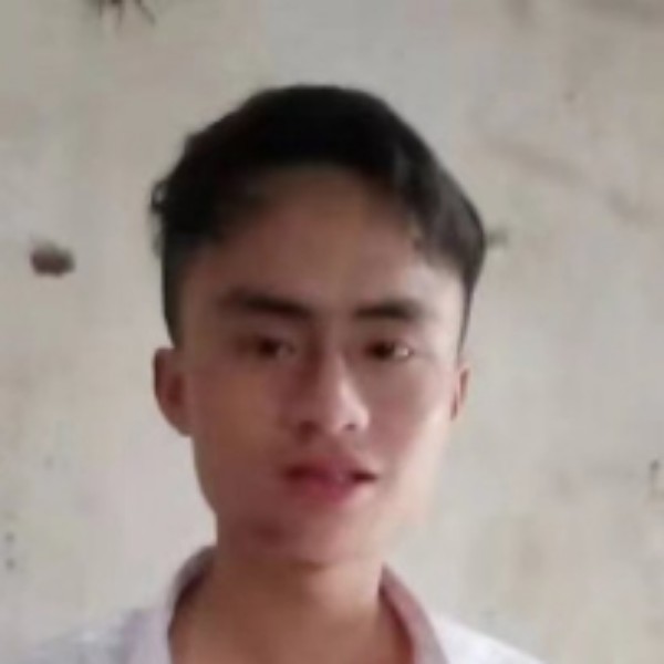 小鸭子那神勇的照片