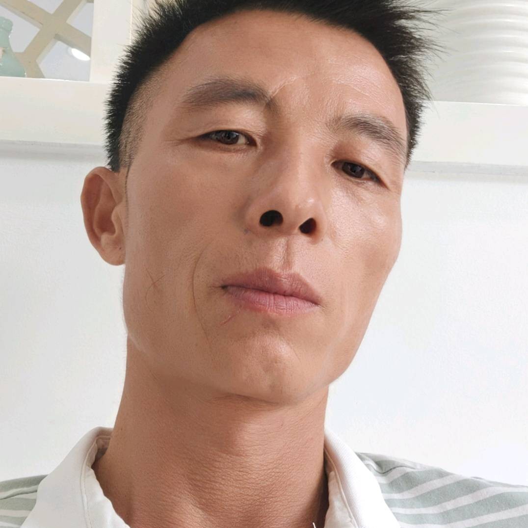 烂漫就长颈鹿的照片