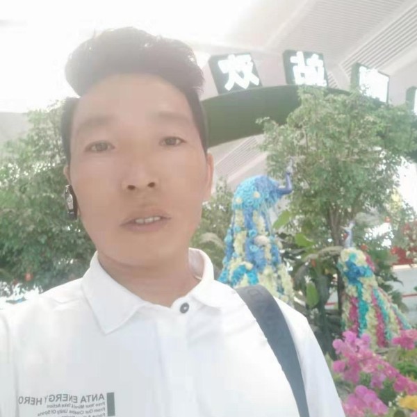 2020样样都行的照片