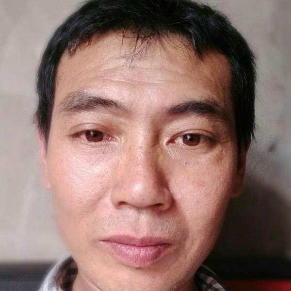 大树演变机灵的照片