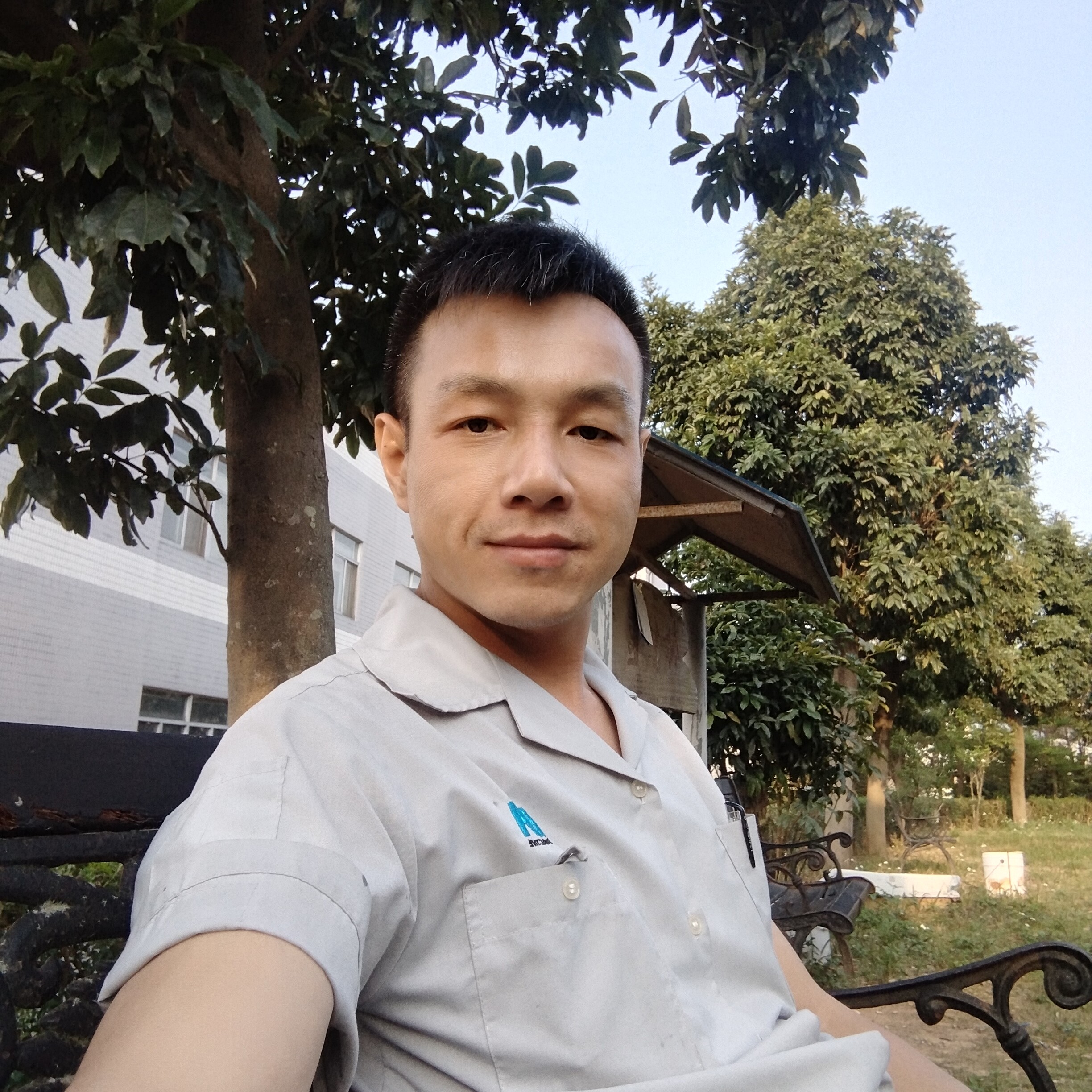 玫瑰放弃闪闪的照片