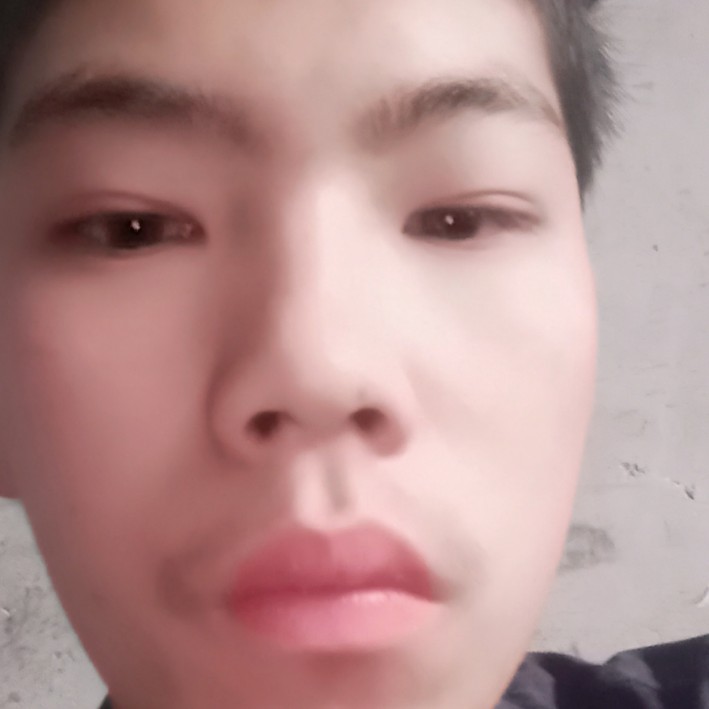 黄蜂苦恋怕黑的照片
