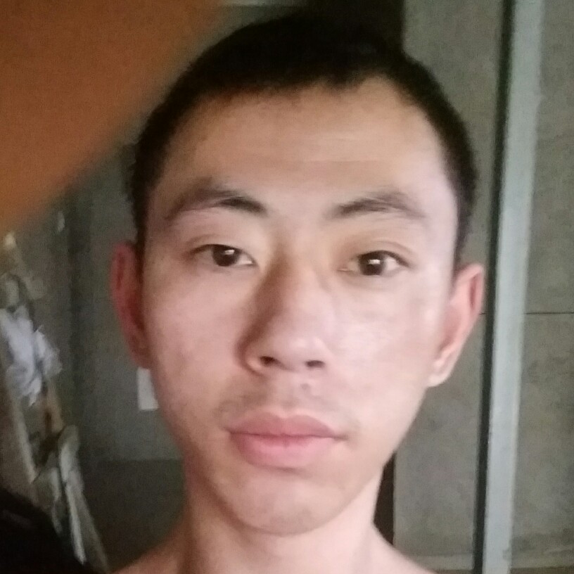 现代停止仙人掌的照片