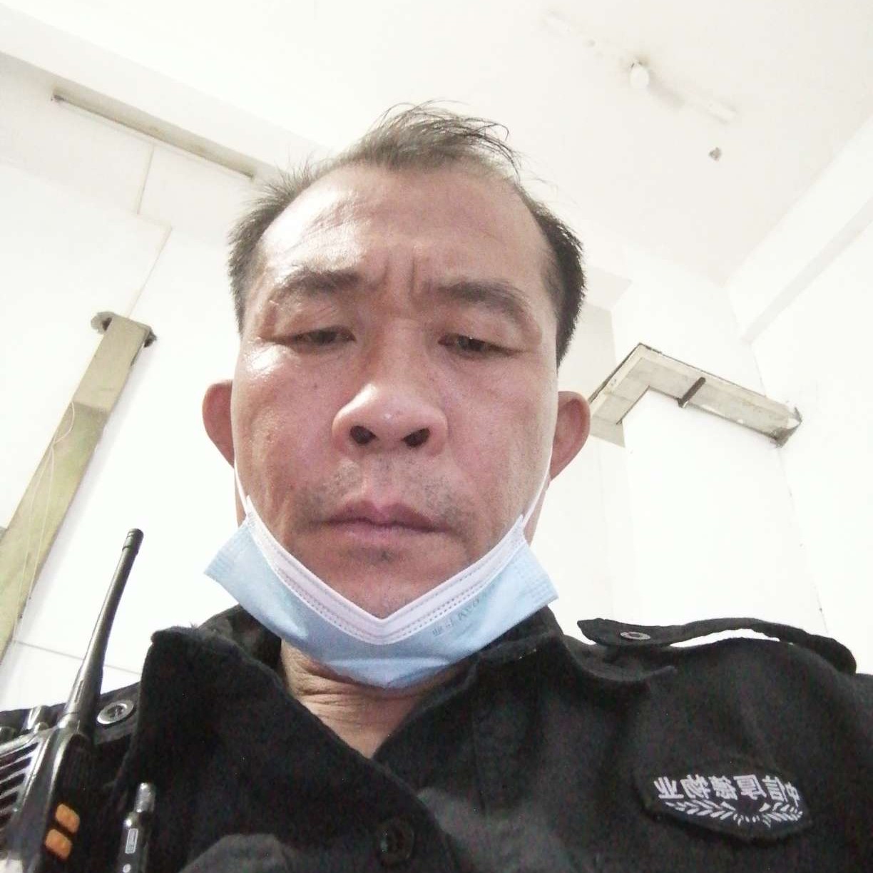 蜗牛倾心内向的照片