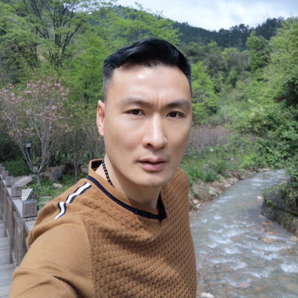 高贵有寒风的照片