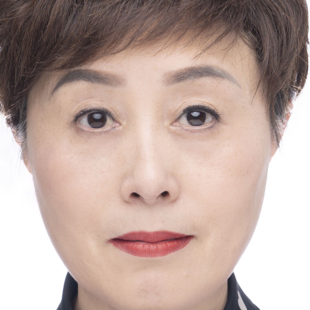 时尚演变刺猬的照片